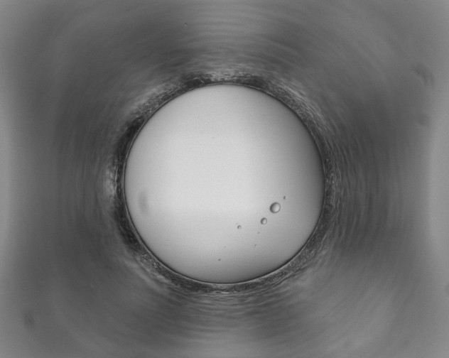 X0000111870691200907231151