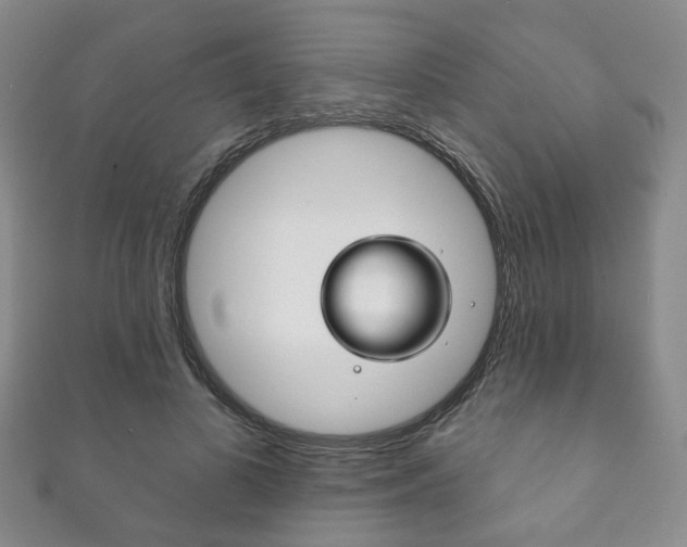 X0000111870693200907231151