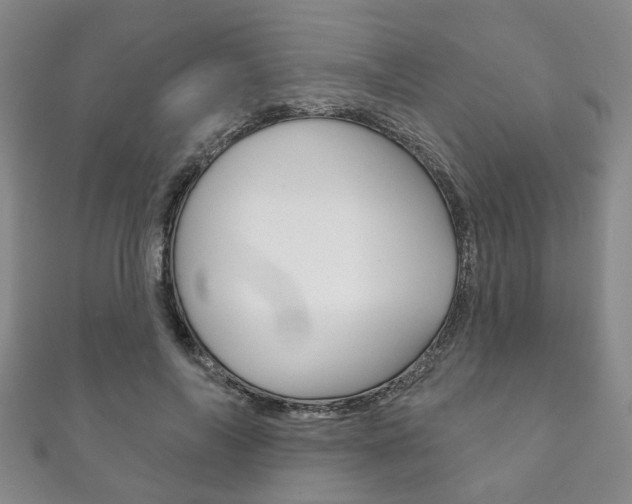 X0000111870694200907231151