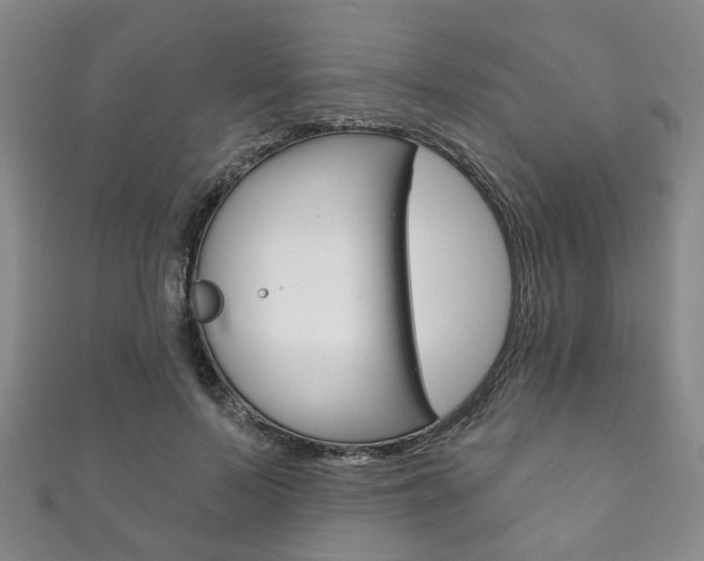 X0000111870695200907231151