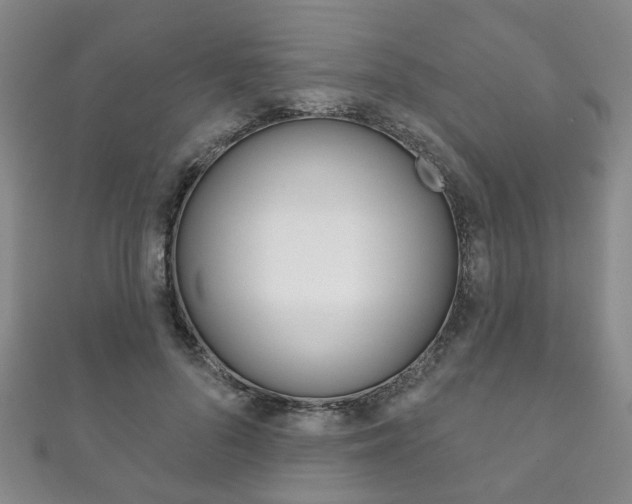 X0000111870696200907231151