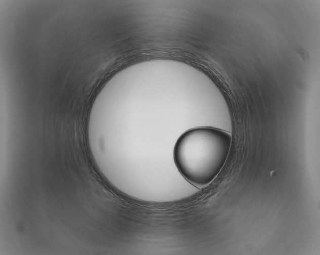 X0000111870697200907231151