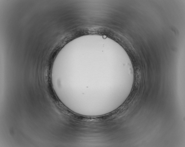 X0000111870698200907231151