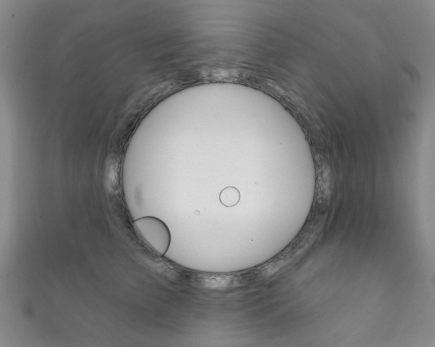 X0000111870709200907231151