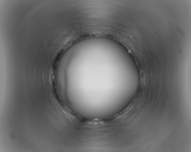 X0000111870712200907231151