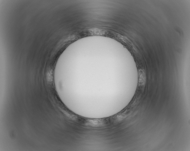 X0000111870713200907231151