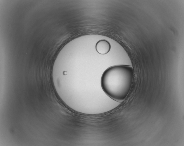X0000111870716200907231151