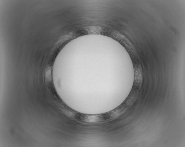 X0000111870717200907231151