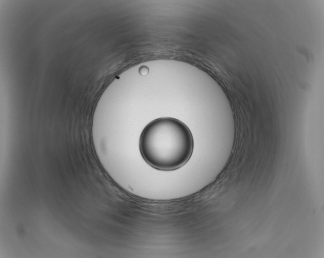 X0000111870720200907231151
