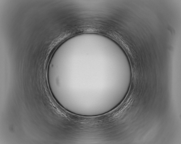 X0000111870721200907231150