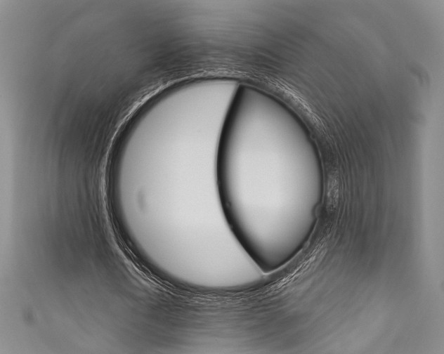 X0000111870722200907231150