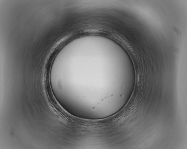 X0000111870724200907231150
