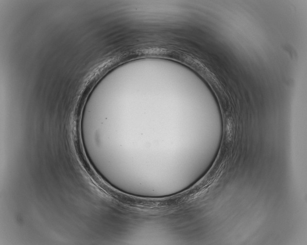 X0000111870725200907231150
