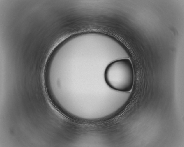 X0000111870726200907231150