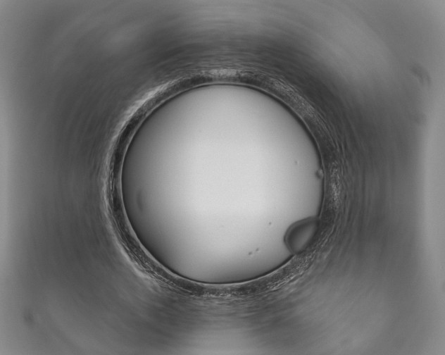 X0000111870728200907231150