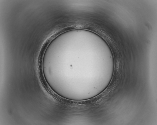 X0000111870730200907231151