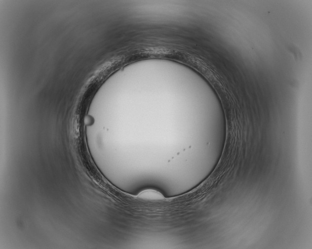 X0000111870731200907231151