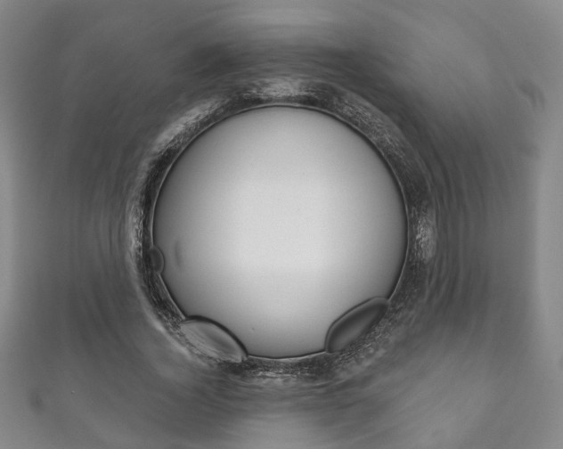 X0000111870732200907231151