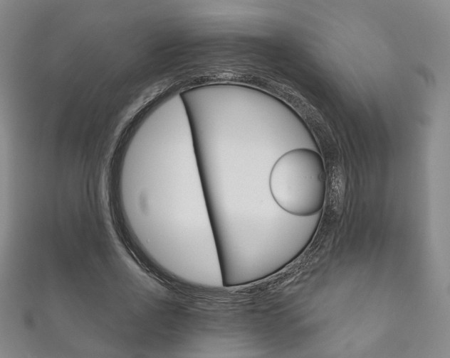 X0000111870734200907231151