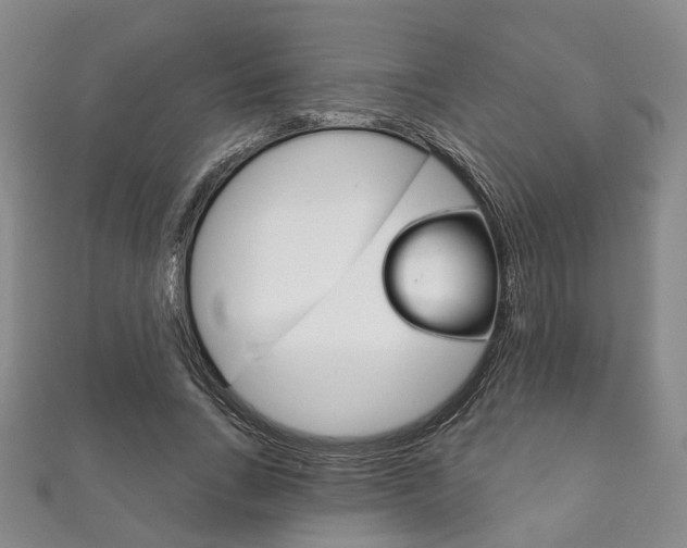 X0000111870735200907231151