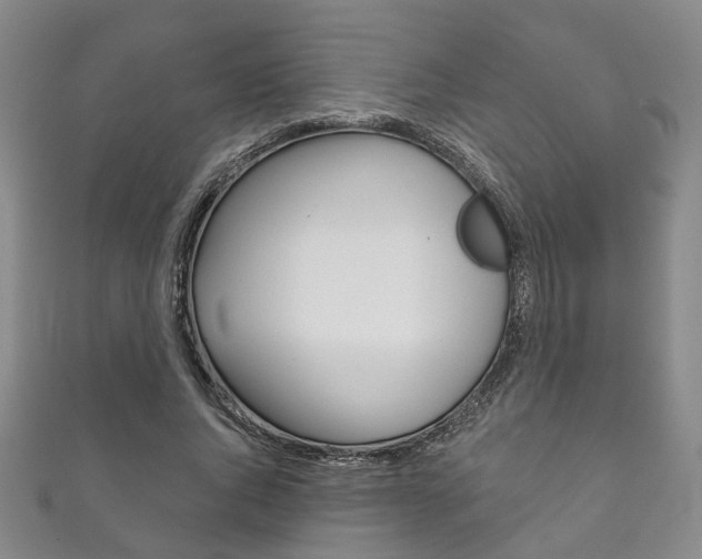X0000111870736200907231151