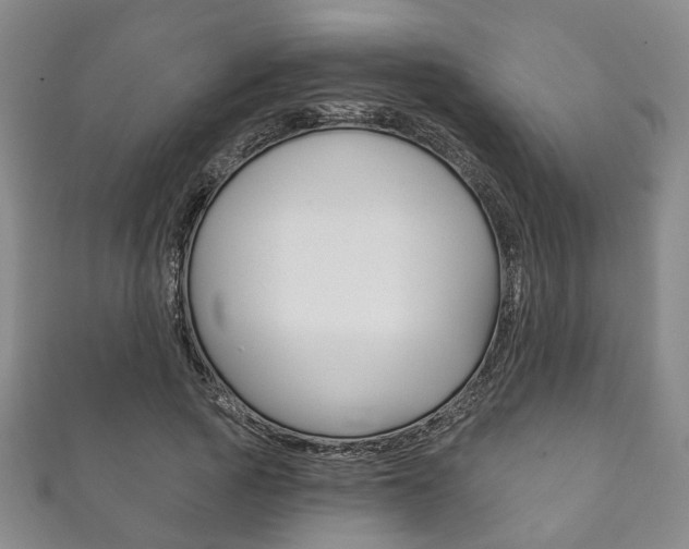X0000111870737200907231151