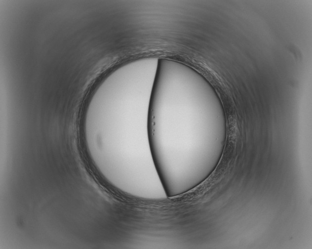 X0000111870738200907231151