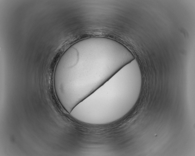 X0000111870739200907231151