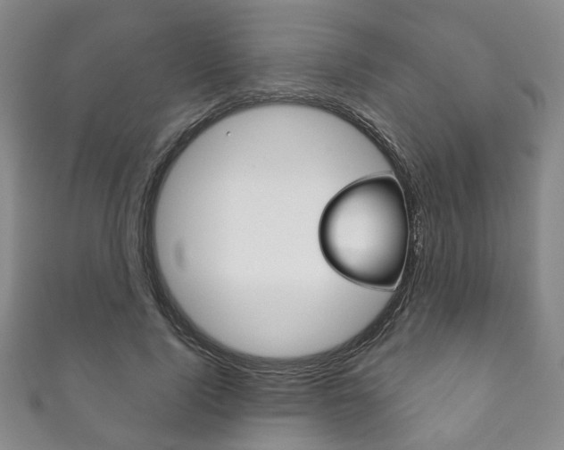 X0000111870740200907231151