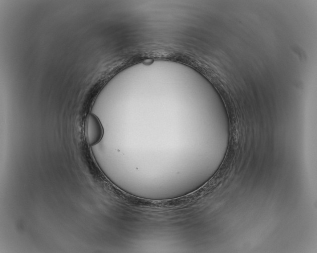 X0000111870743200907231151