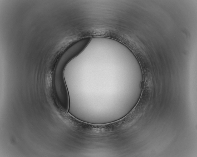 X0000111870744200907231151