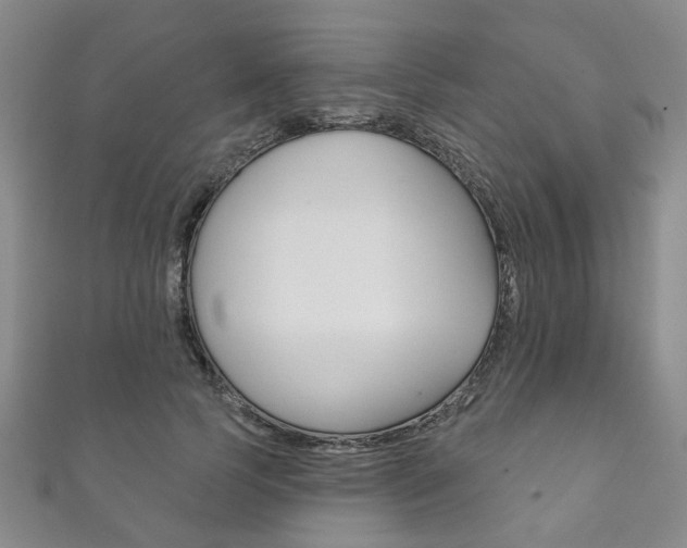 X0000111870745200907231151