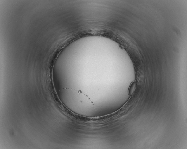 X0000111870748200907231151