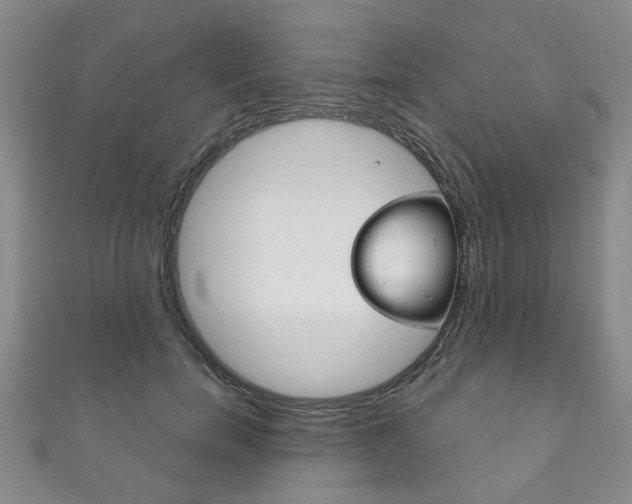 X0000111870750200907231151