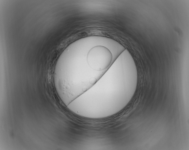 X0000111870751200907231151