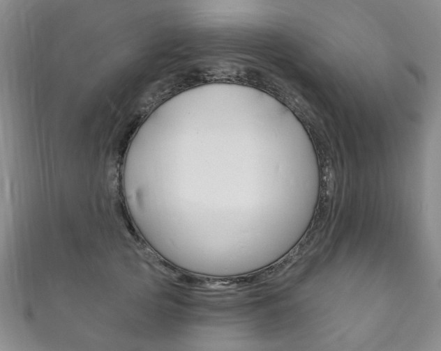 X0000111870753200907231151