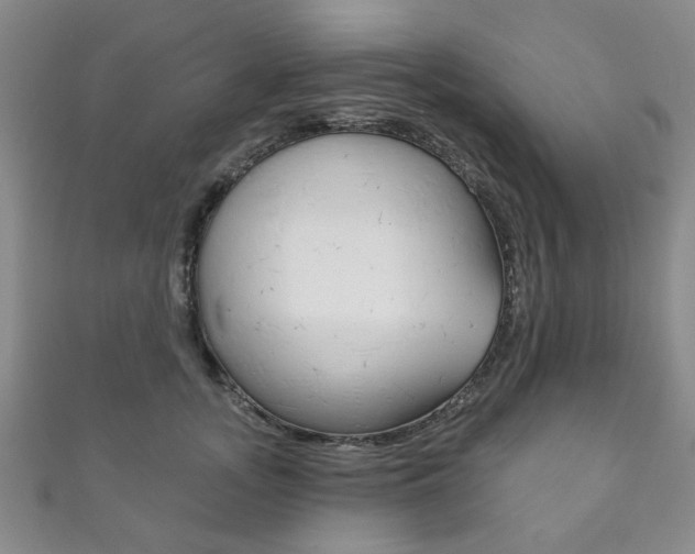 X0000111870755200907231151