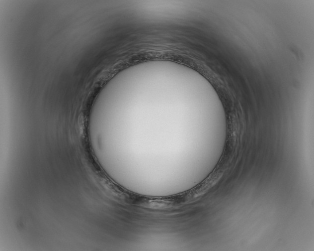 X0000111870758200907231151