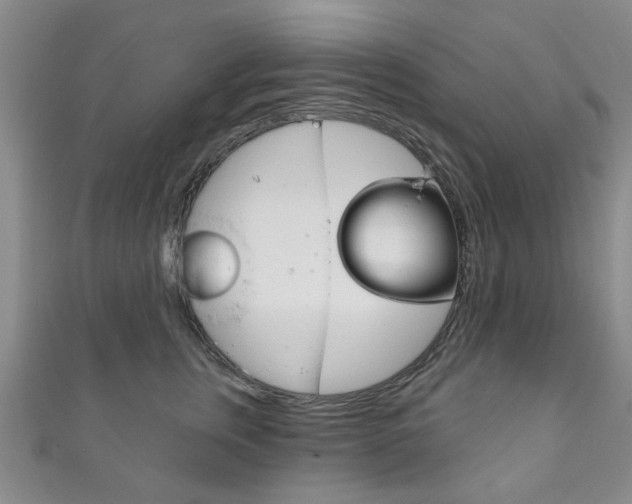 X0000111870759200907231151