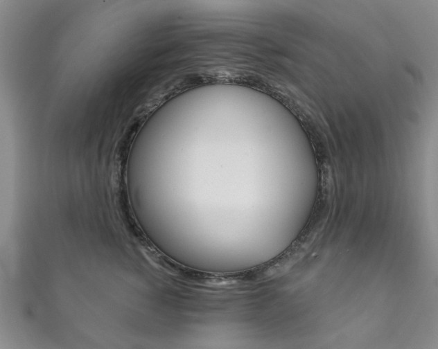 X0000111870760200907231151