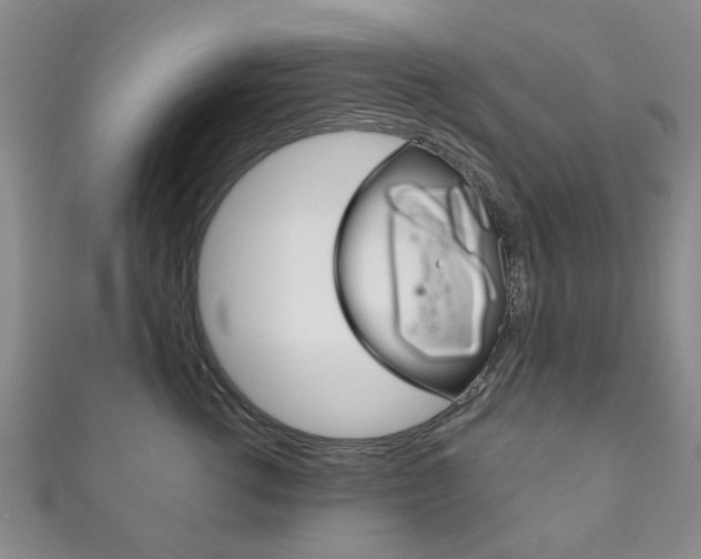 X0000111870762200907231151