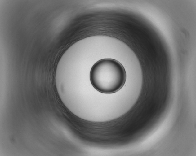 X0000111870766200907231151