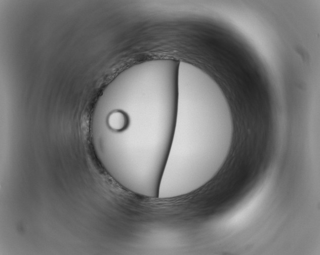 X0000111870767200907231151