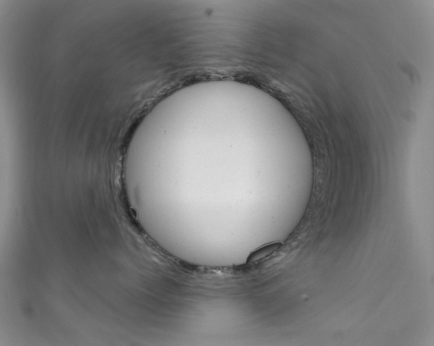X0000111870768200907231151