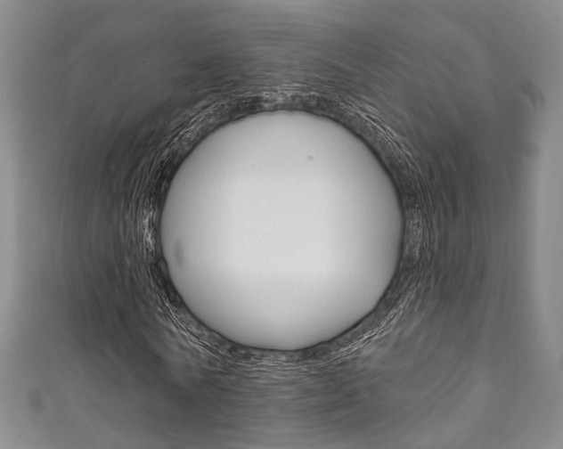 X0000111870770200907231150