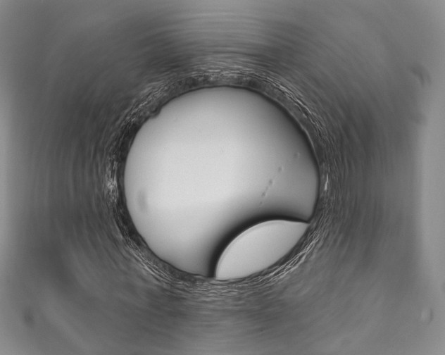 X0000111870771200907231150