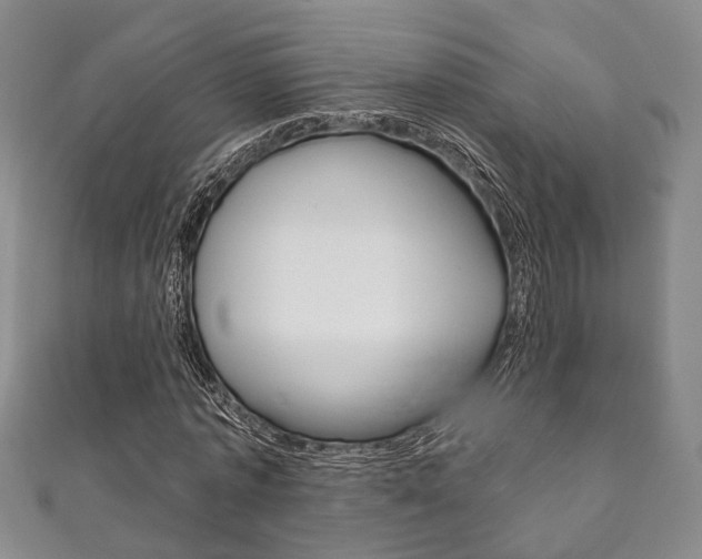 X0000111870773200907231150