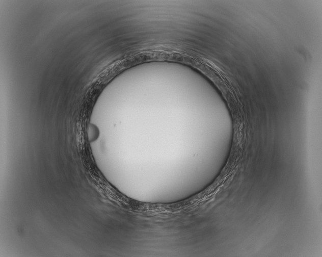 X0000111870774200907231150