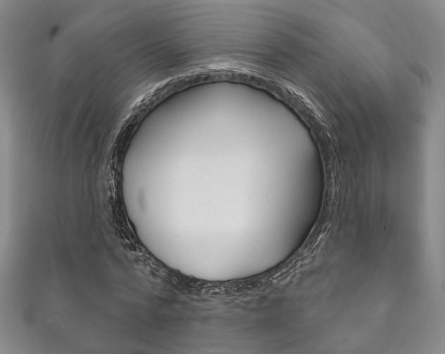 X0000111870776200907231150