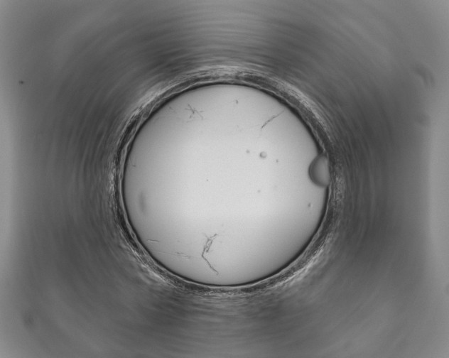 X0000111870778200907231150